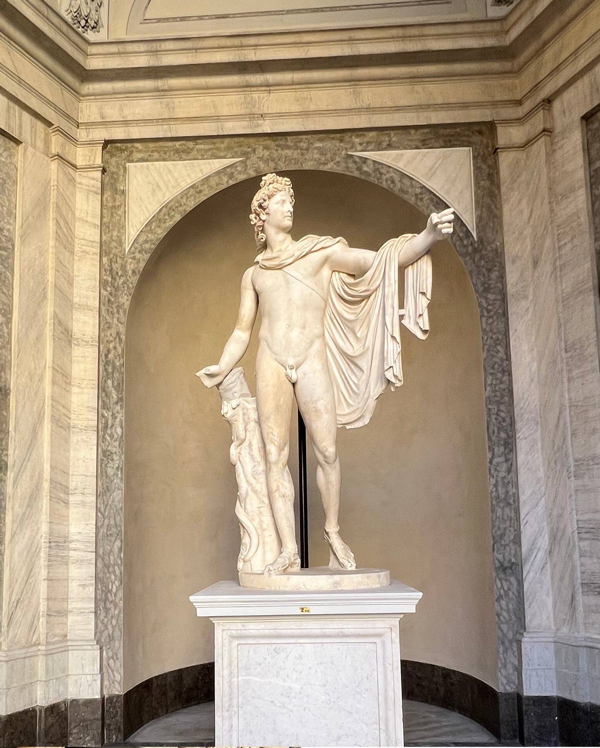 Apollo Belvedere.