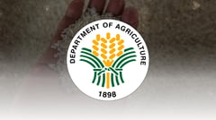 DA warns vs fake rice import permits