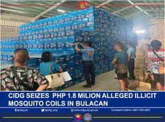 P1.8M worth of illegal mosquito coils seized in Bulacan