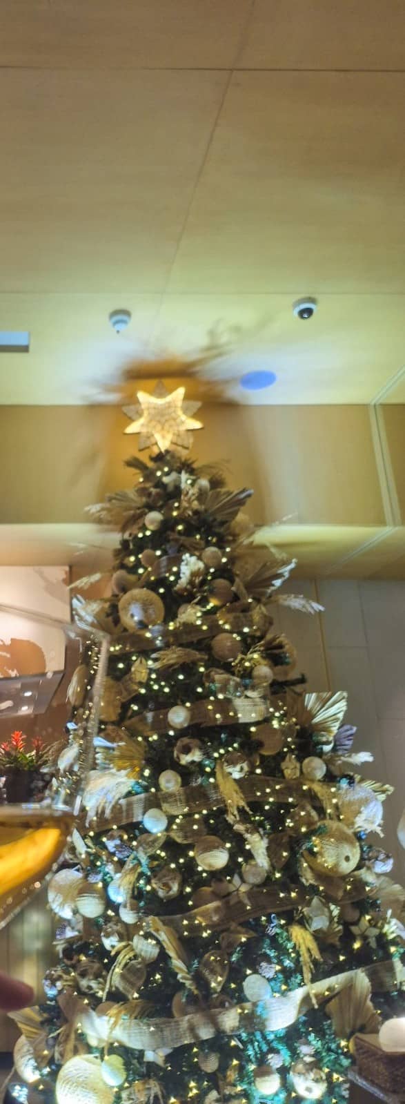 BRIGHTER days ahead as Seda BGC welcome the Yuletide season with the Christmas tree lighting.
