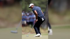 Wounded Tiger