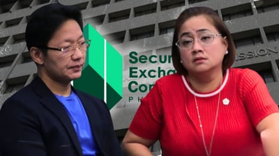 Regulator strips Discaya companies of licenses