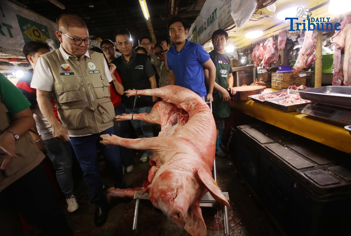 (December 05 2025) Department of Agriculture Secretary Francisco P. Tiu Laurel Jr conducted an inspection at Mega Qmart in Quezon City on Friday December 5 2025, to monitor the maximum suggested retail prices MSRP , specially on the meat and vegetables , to stabilize the price ahead of Christmas holidays, He said the Department of Agriculture is intensifying efforts to keep food prices stable through the holiday season, pointing to the sharp drop in rice, corn, vegetable, and meat prices and their crucial role in preserving the spending power of Filipino consumers—especially the poor. Photo/Analy Labor