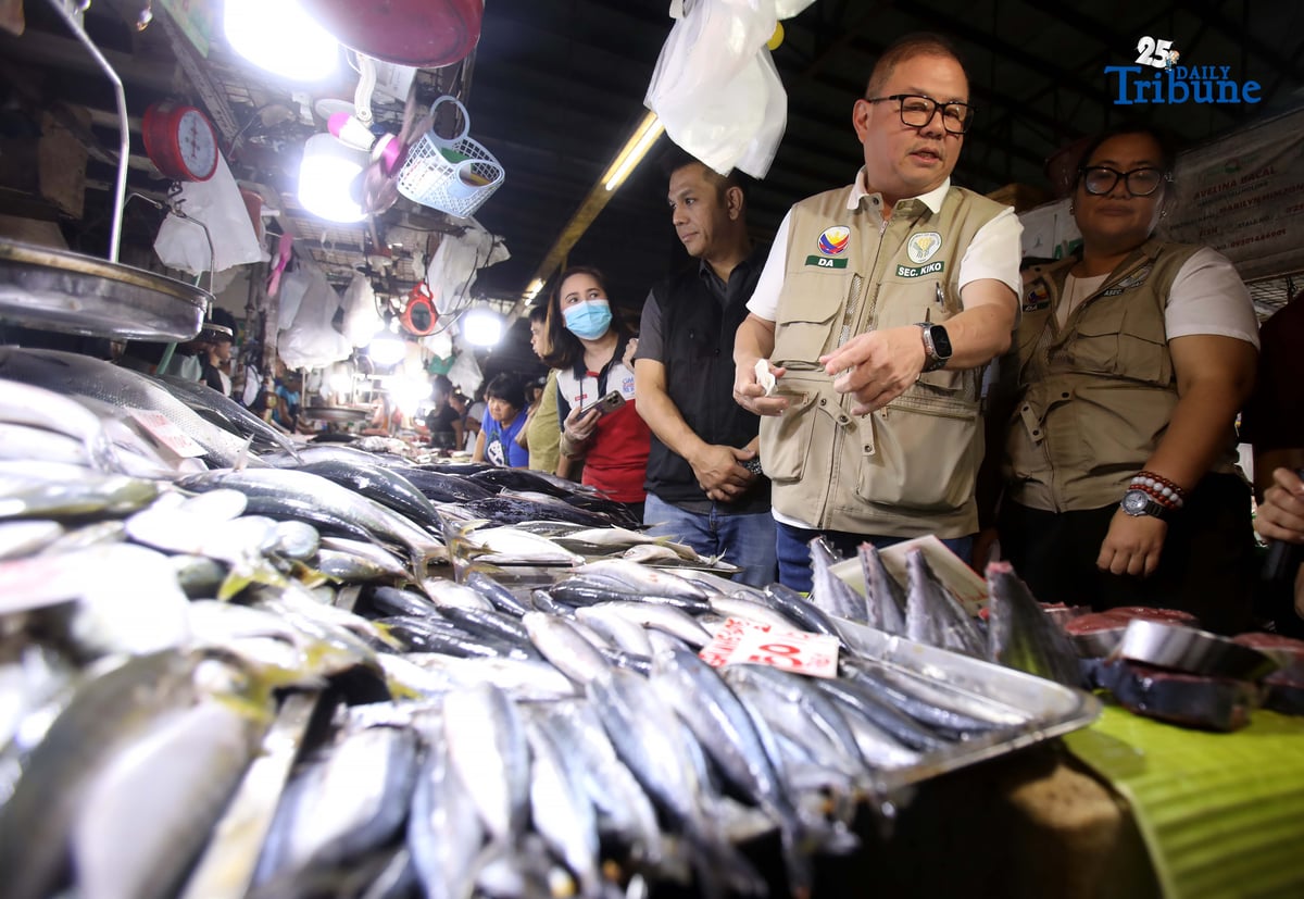 (December 05 2025) Department of Agriculture Secretary Francisco P. Tiu Laurel Jr conducted an inspection at Mega Qmart in Quezon City on Friday December 5 2025, to monitor the maximum suggested retail prices MSRP , specially on the meat and vegetables , to stabilize the price ahead of Christmas holidays, He said the Department of Agriculture is intensifying efforts to keep food prices stable through the holiday season, pointing to the sharp drop in rice, corn, vegetable, and meat prices and their crucial role in preserving the spending power of Filipino consumers—especially the poor. Photo/Analy Labor