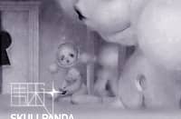 THE Skull Panda