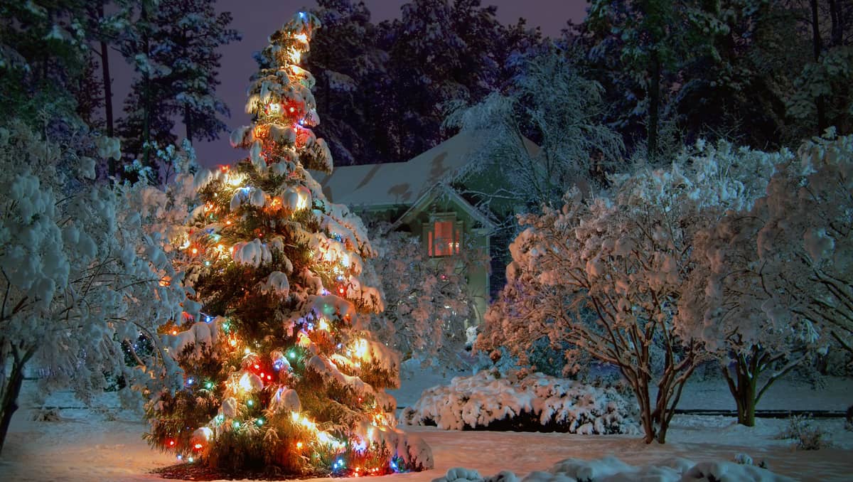 According to the National Weather Service (NWS), at least 1 inch (2.5 centimeters) of snow on the ground on the morning of 25 December marks a "White Christmas."