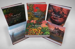 Sansó, Organo books launched