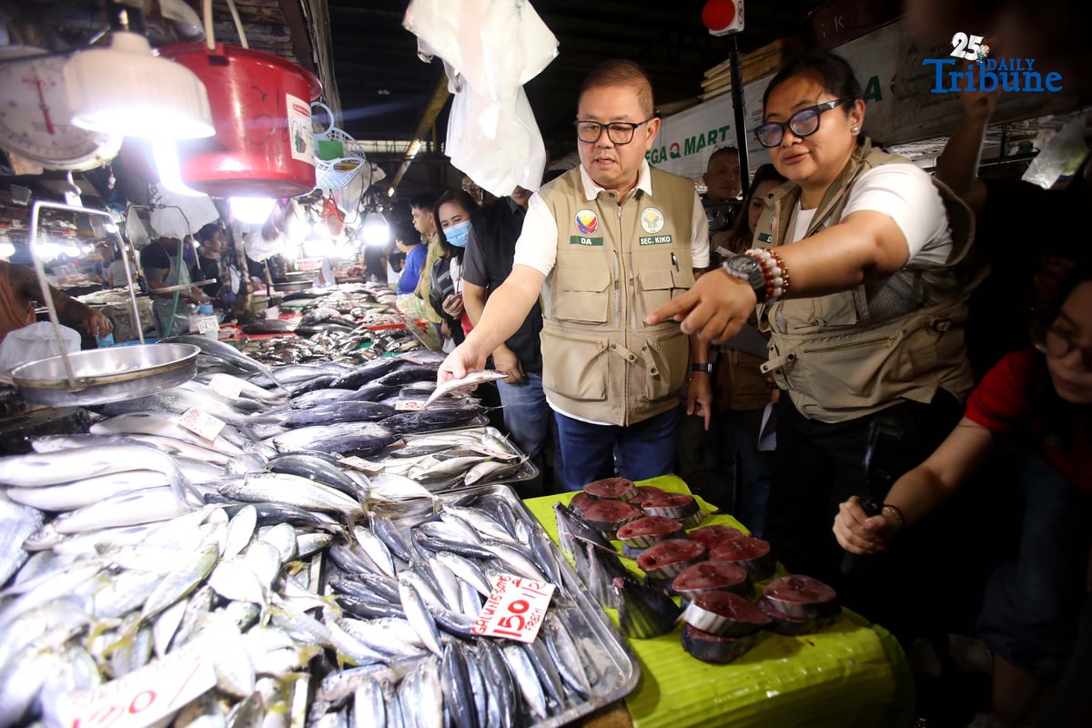 (December 05 2025) Department of Agriculture Secretary Francisco P. Tiu Laurel Jr conducted an inspection at Mega Qmart in Quezon City on Friday December 5 2025, to monitor the maximum suggested retail prices MSRP , specially on the meat and vegetables , to stabilize the price ahead of Christmas holidays, He said the Department of Agriculture is intensifying efforts to keep food prices stable through the holiday season, pointing to the sharp drop in rice, corn, vegetable, and meat prices and their crucial role in preserving the spending power of Filipino consumers—especially the poor. Photo/Analy Labor