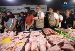 DA Inspect Mega Qmart