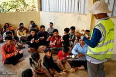 WHO warns of increase in malaria cases, deaths