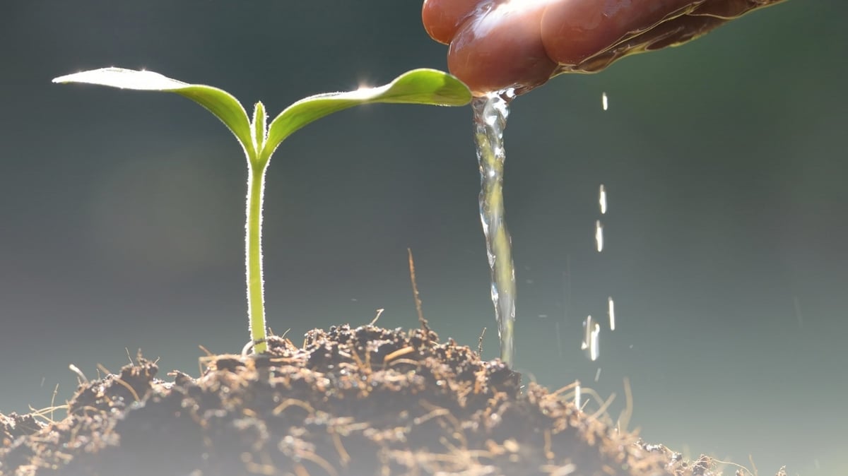 WATER allows agriculture to shift toward higher-value production.