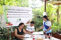 Quezon farmers secure stable market under new DAR-facilitated supply deal