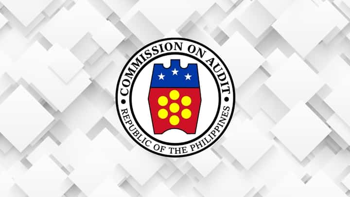‘Questionable’ Cebu City LGU 2024 expenses scrutinized