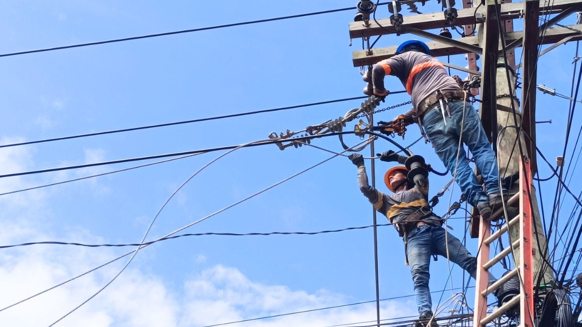 CA dismisses Palawan petition vs electric coop