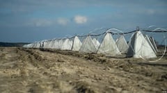Europe struggles in covering military aid shortfall to Ukraine