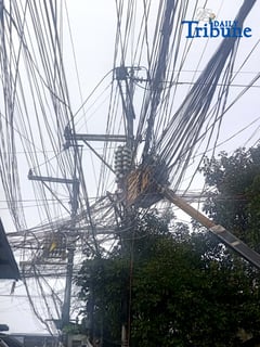 Electrical wires