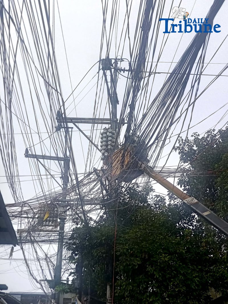 Electrical wires