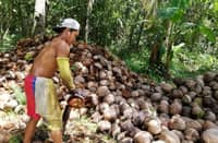 Cocopreneurs level up in Lanao del Norte