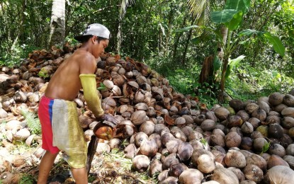 Cocopreneurs level up in Lanao del Norte