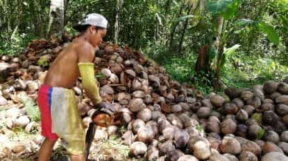Cocopreneurs level up in Lanao del Norte