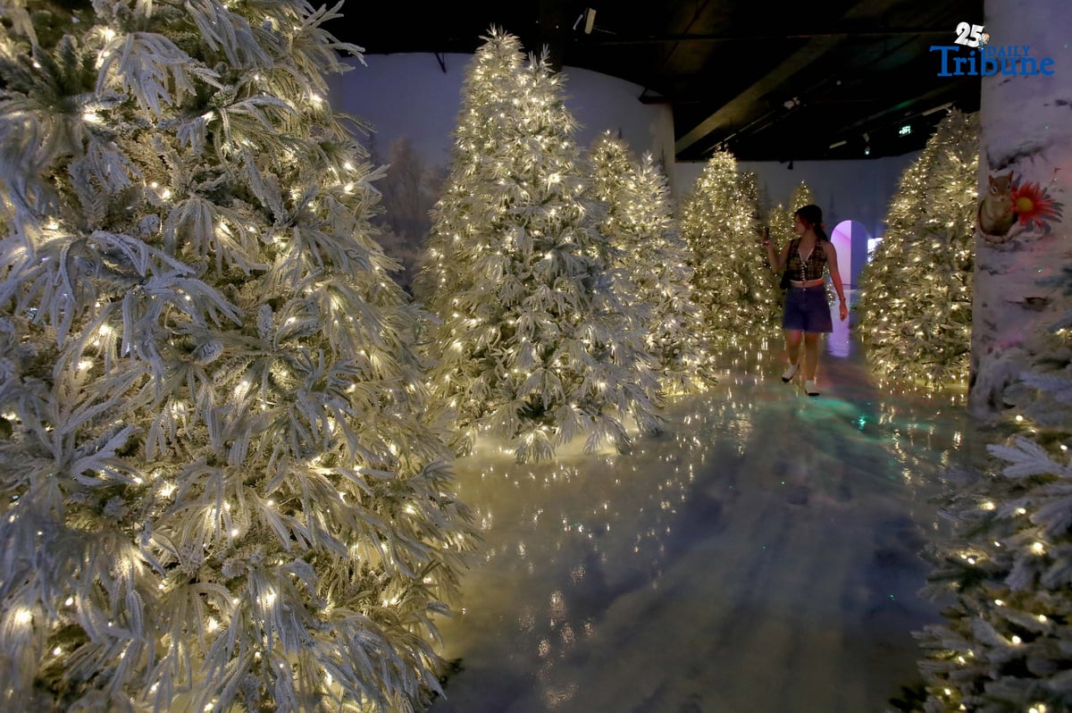 Christmas display
