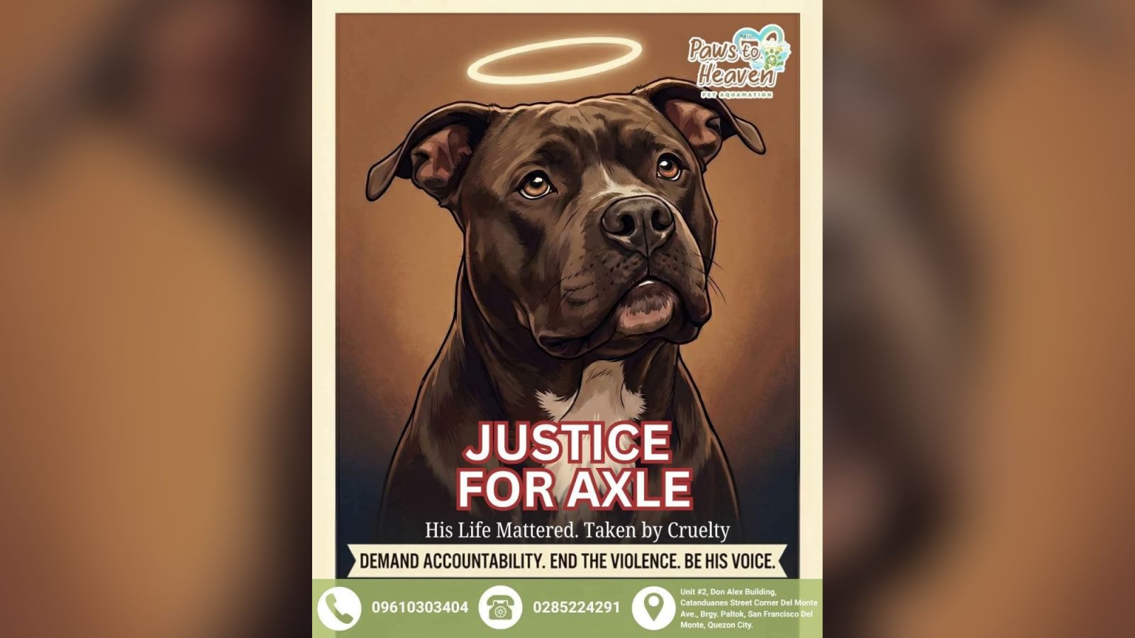 AKF urges accountability after Sadanga dog death 
