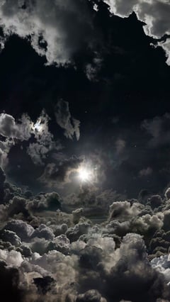 'The beauty of the night'