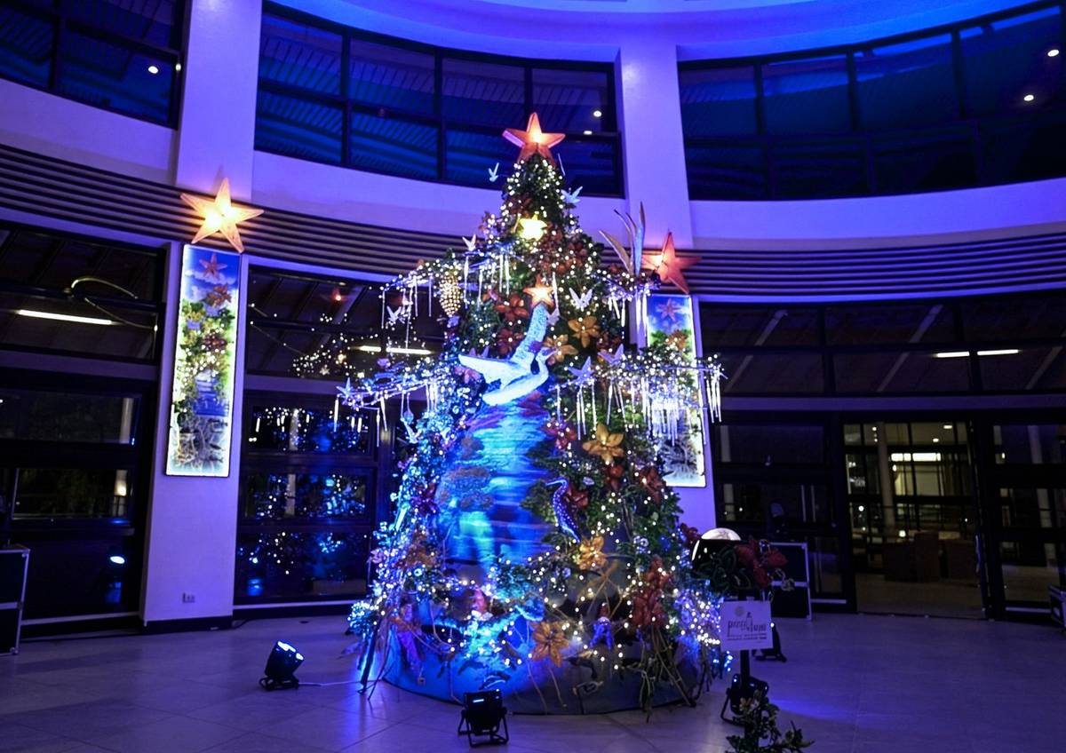 PICO de Loro Cove’s 12-foot Christmas Tree, crafted with sustainable materials and designed to highlight the vital role of mangroves in coastal protection.