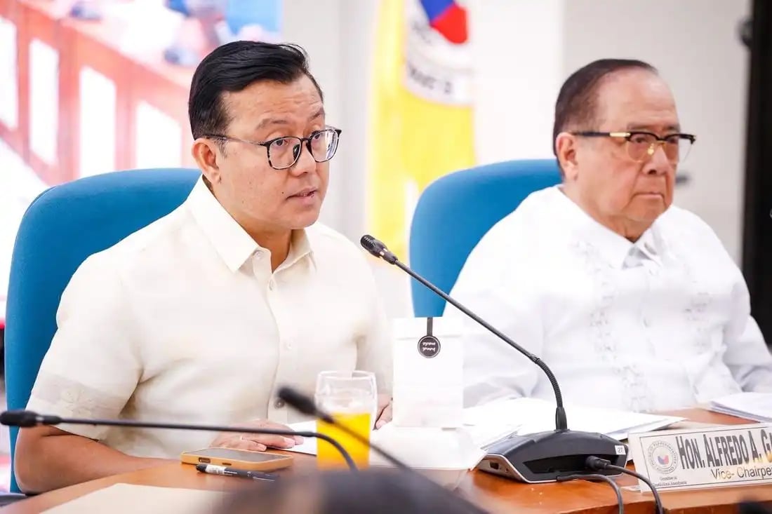 Garbin: Anti-dynasty law must be anchored on Charter change