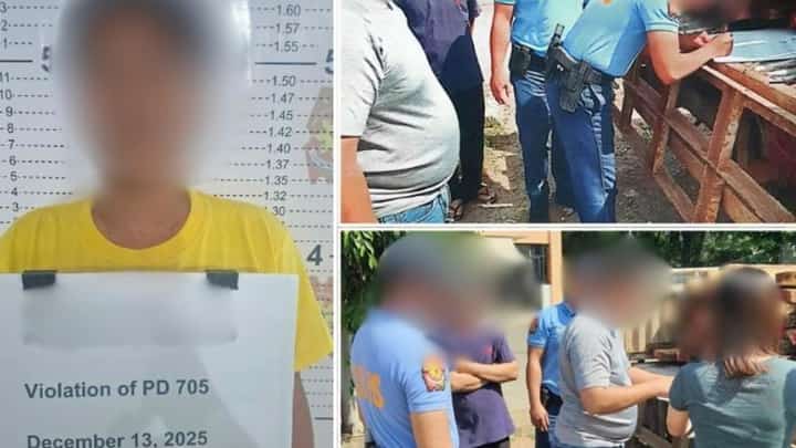 POLICE seized 1,250 board feet of illegally cut wood during a routine anti-criminality and anti-illegal logging patrol at Brgy. Reformista in Limay, Bataan on 13 December 2025.