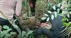 Army seizes war materials in Batangas; disrupts Aurora food cache