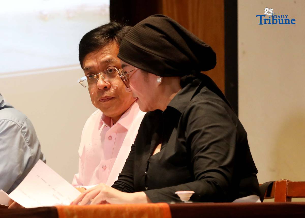 Atty. Raymund Palad, the legal counsel of Ramil Madriaga, and Pyra Lucas from the United Filipino Against Crime and Corruption showed the video to the media regarding the alleged large-scale land grabbing in Bataan linked to former Presidential Spokesperson Harry Roque during a briefing in Quezon City on Thursday, 18 December 2025.