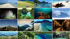Tourism drives exports, forex growth — study