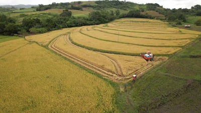 Senator backs 2026 budget but seeks veto of DPWH farm road provision