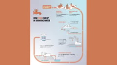 How not to host PFAS