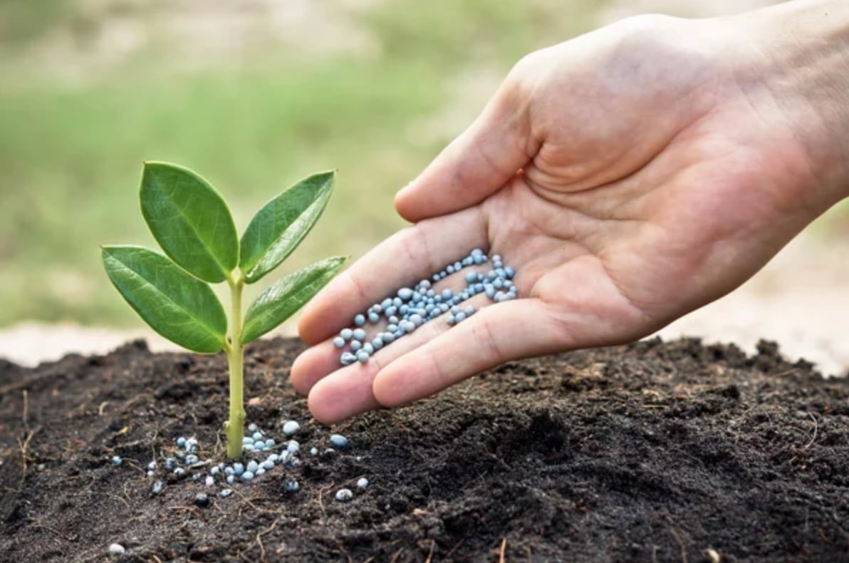 DA targets unlicensed fertilizer operations in Mindanao
