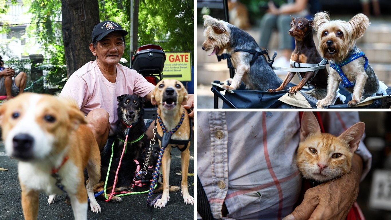 ALL BARK, NO BITE: Animal welfare program given P10M in 2026 allocation