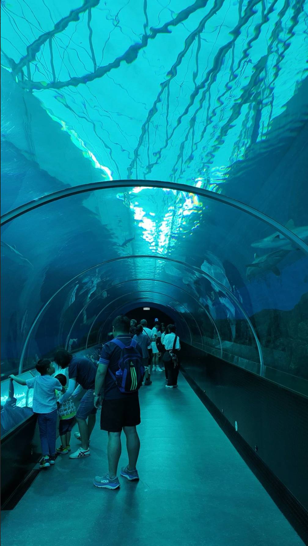SEA Aquarium at the Singapore Oceanarium.