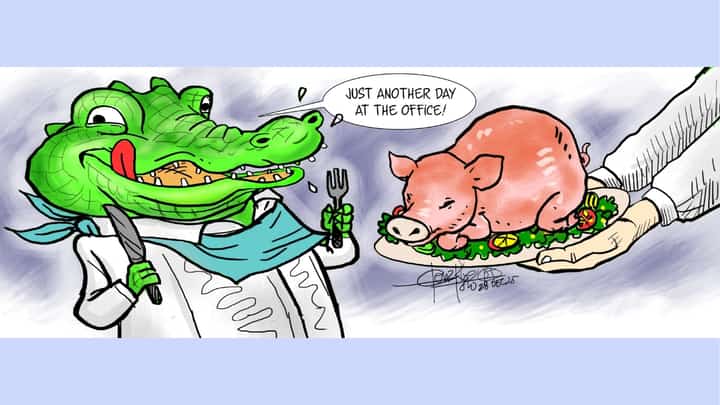 Porky business as usual