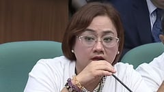 Contradictions emerge over Sarah Discaya family visit