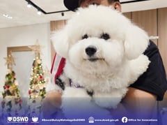 DSWD, PAWS’ Angel Pets program gets strong feedback from beneficiaries