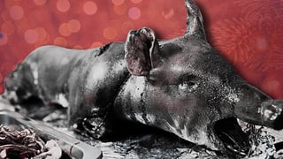 Roasted, revered, and possibly haunting me: Thoughts on the lechon