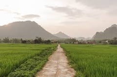 Rice, roads, reforms top DA agenda for 2026