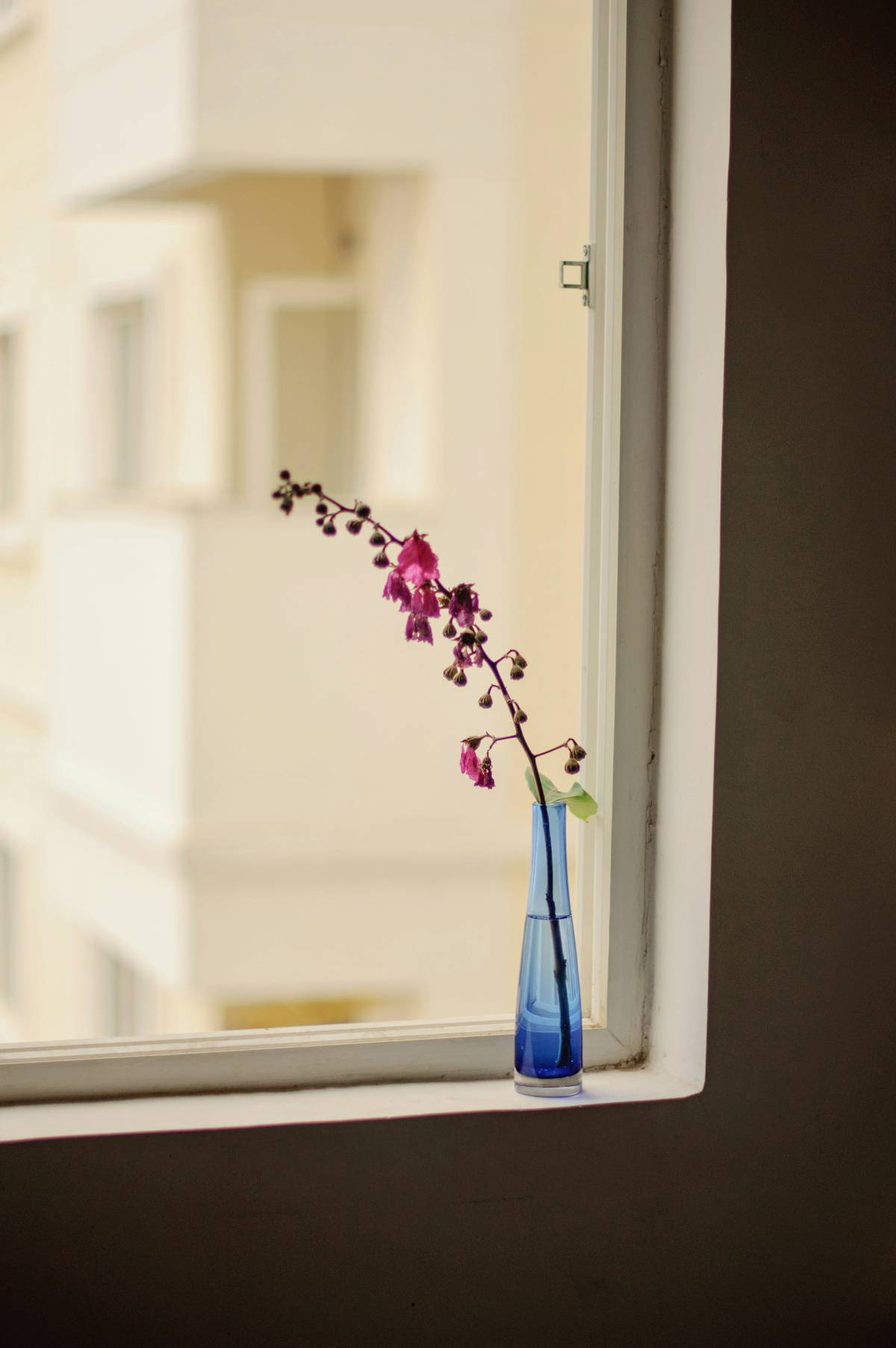 ADDING even the tiniest pop of blue to your space can help balance out 2026 fiery energy of the Fire Horse.