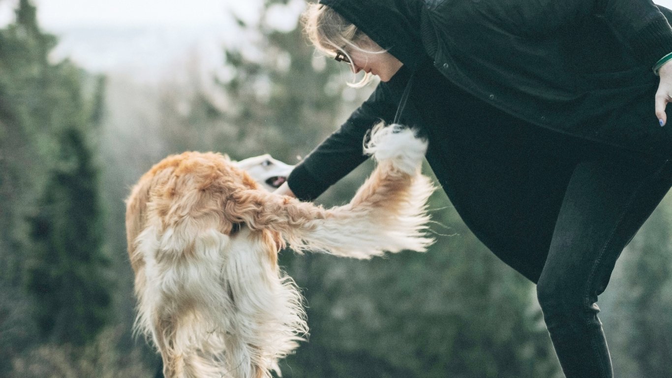 Why the Philippines must step up for animal rights in 2026