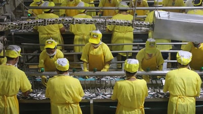 Factory output recovers slightly in December