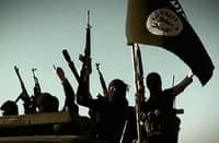 ‘NYE attack plotter’ arrested