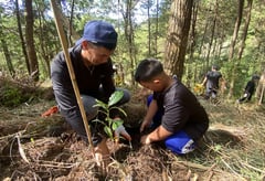 Anchoring change through CSR