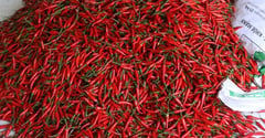 More chilis seen as key taming price spikes — DA