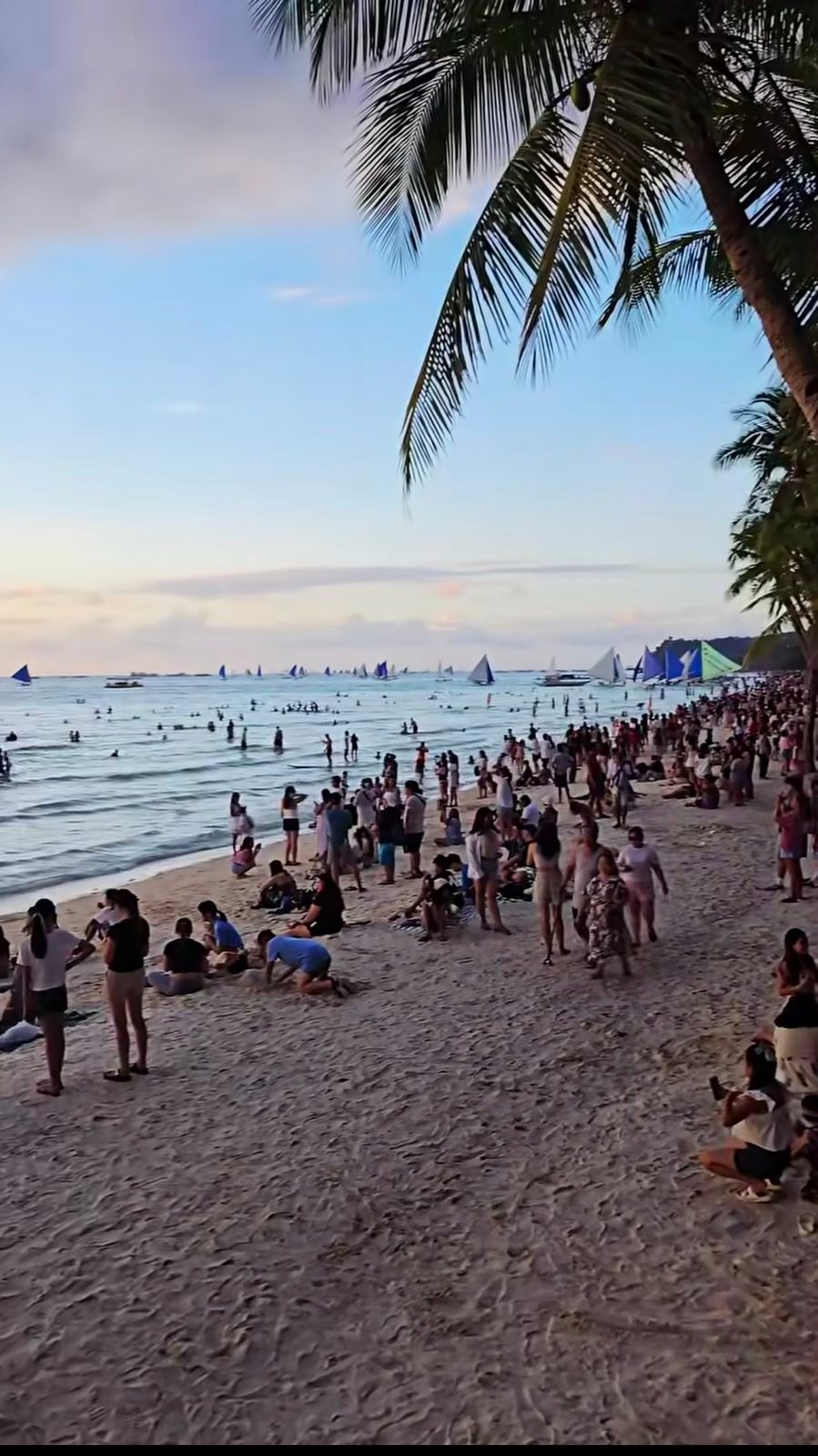 PCC breaks up Boracay dive price cartel